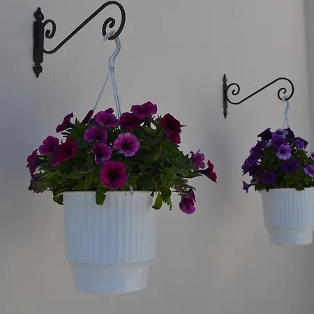 Πανσιόν Atrium