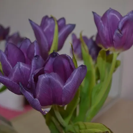 בית הארחה Atrium סנטוריני