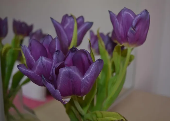 Pensjonat Atrium Fira (Santorini)